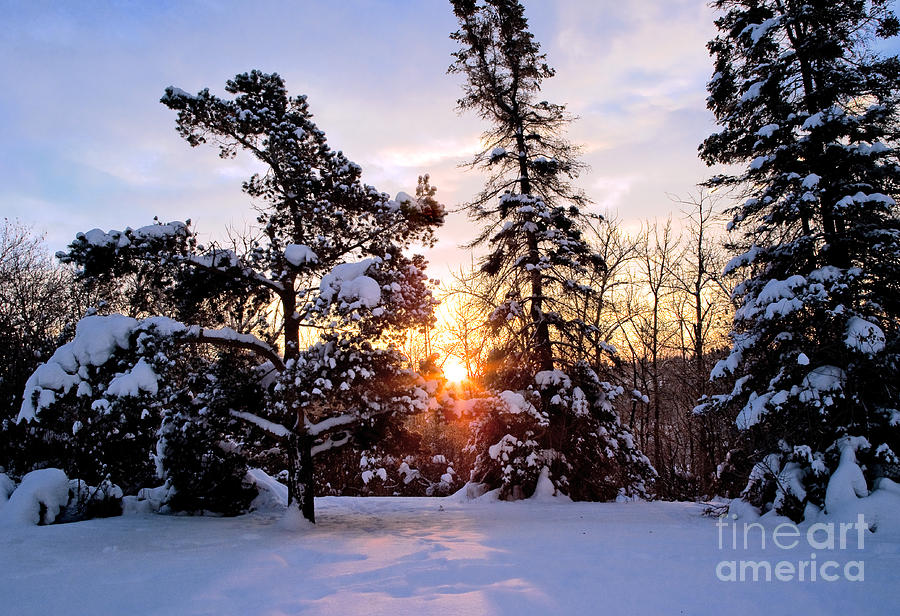 Winter Sunrise Photograph by Terry Elniski