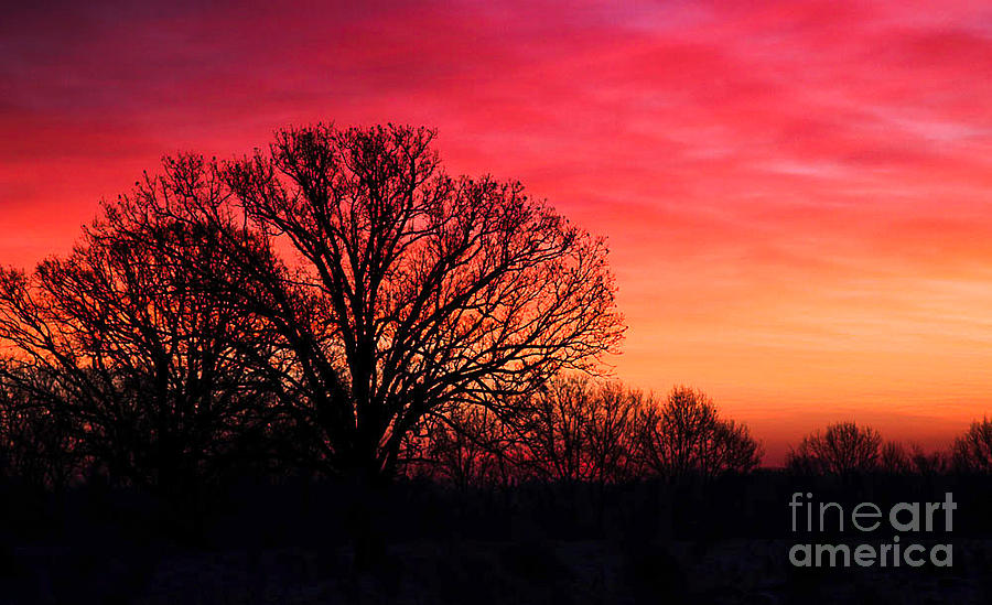 Winter Photograph - Winter Sunrise by Todd Bielby