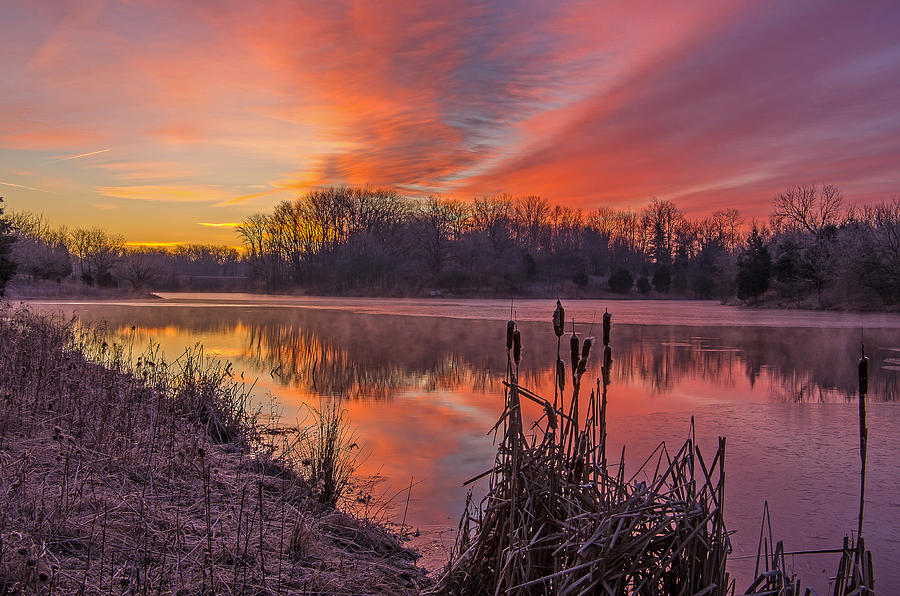 Winter sunrise Photograph by Ulrich Burkhalter