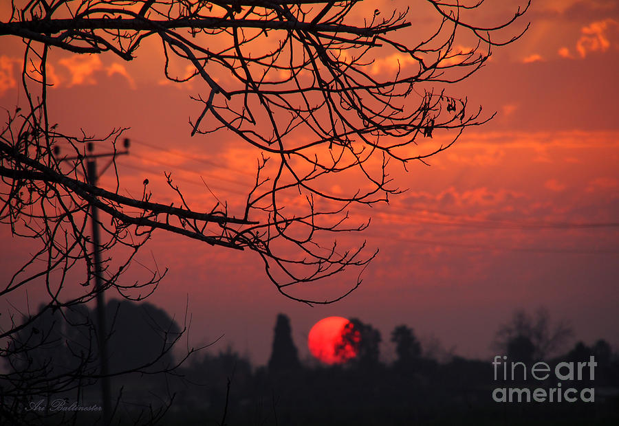 Winter sunset 03 Photograph by Arik Baltinester