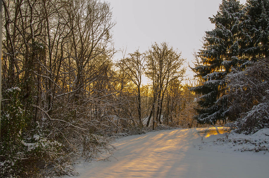 Winter Sunset Photograph by Bruce Pritchett