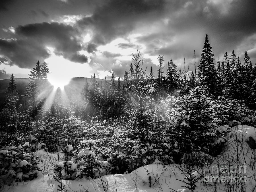 Winter Photograph - Winter Sunset by David Rucker