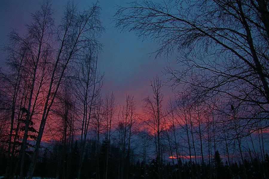 Winter sunset Photograph by Donna Quante