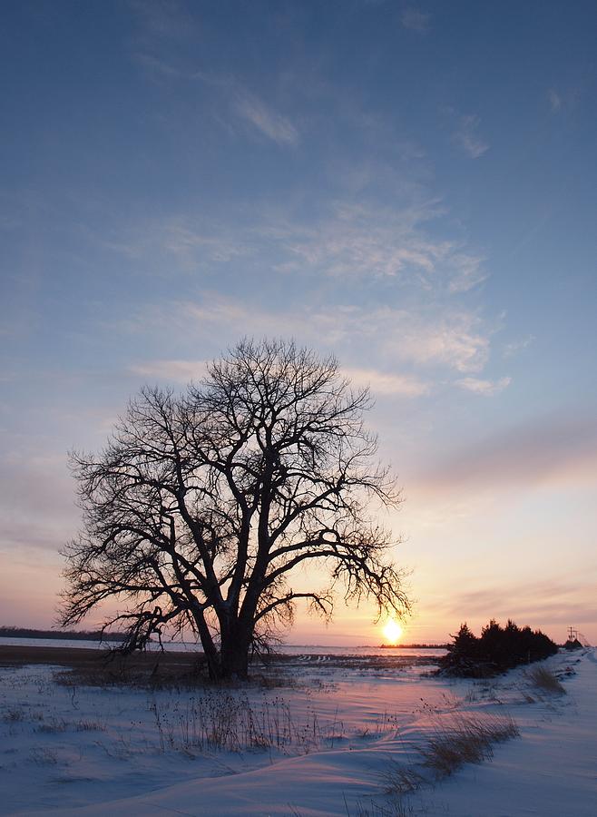 Winter Sunset Photograph by HW Kateley