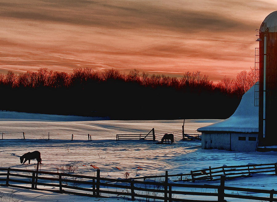 Sunset Photograph - Winter Sunset in Rome NY by Pat Carosone