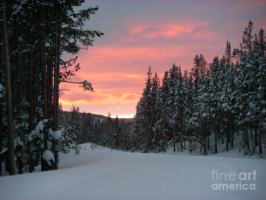 Winter Sunset Photograph by Jeanette French