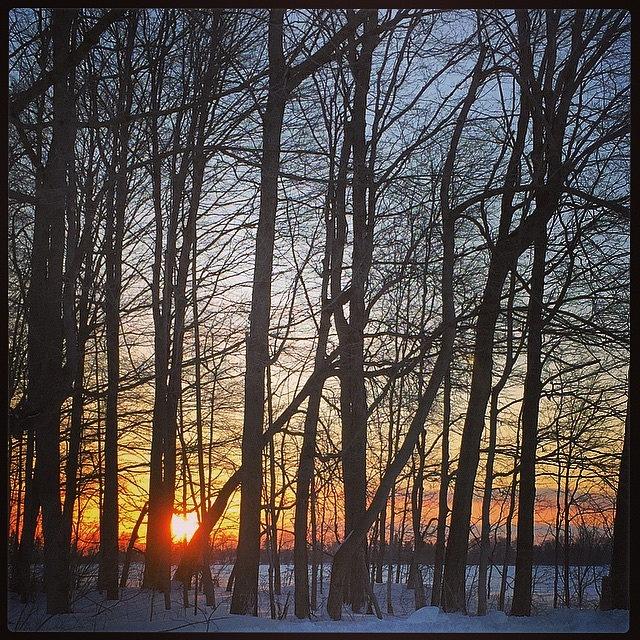 Winter Sunset Photograph by Karen Cooper