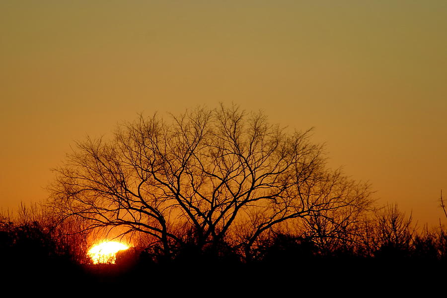 Sunset Photograph - Winter Sunset by Leeon Photo