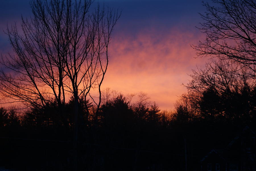 Winter sunset Photograph by Lois Lepisto