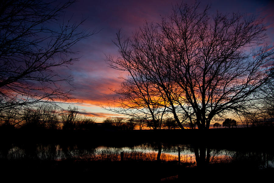 Winter Sunset Photograph by Mark Alder