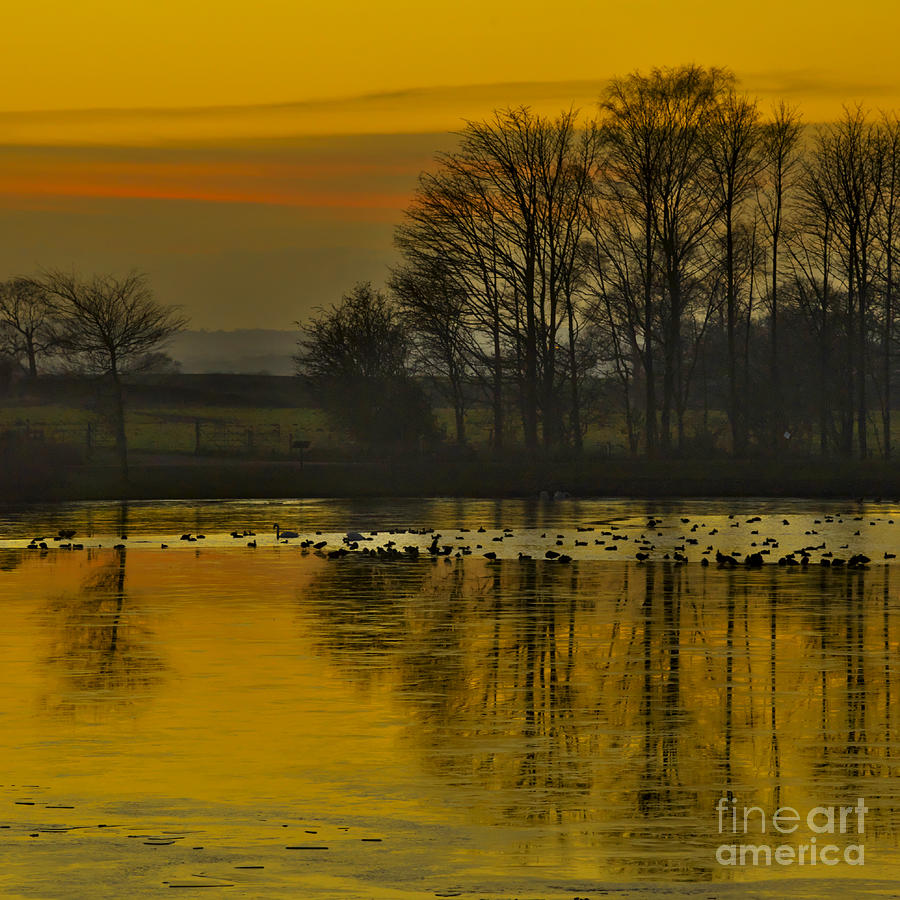 Winter Sunset Photograph by Martyn Arnold