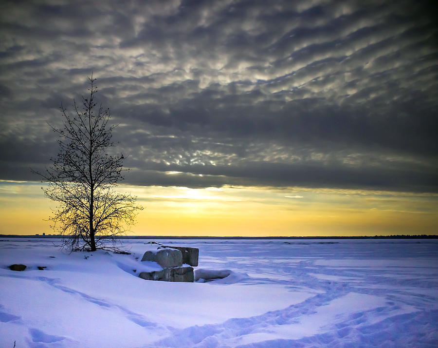 Winter Sunset Photograph by Nathalie Deslauriers