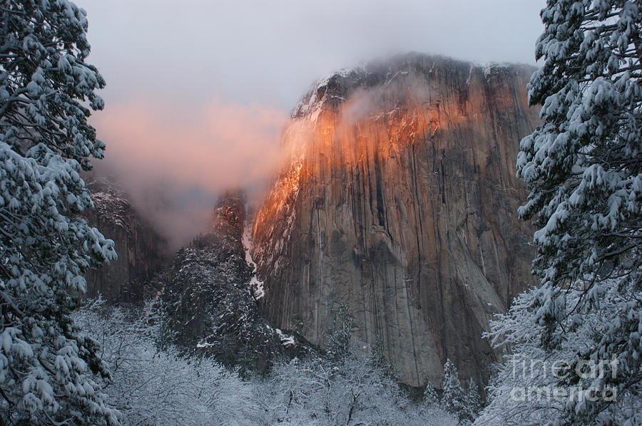 Winter Sunset on El Capitan Photograph by Christine Jepsen