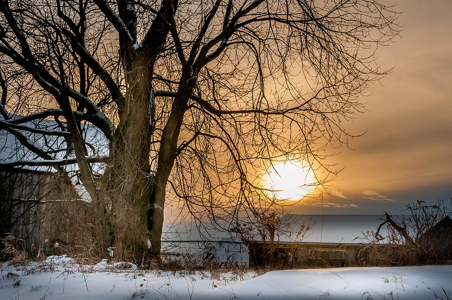 Winter Sunset Photograph by Patti Raine