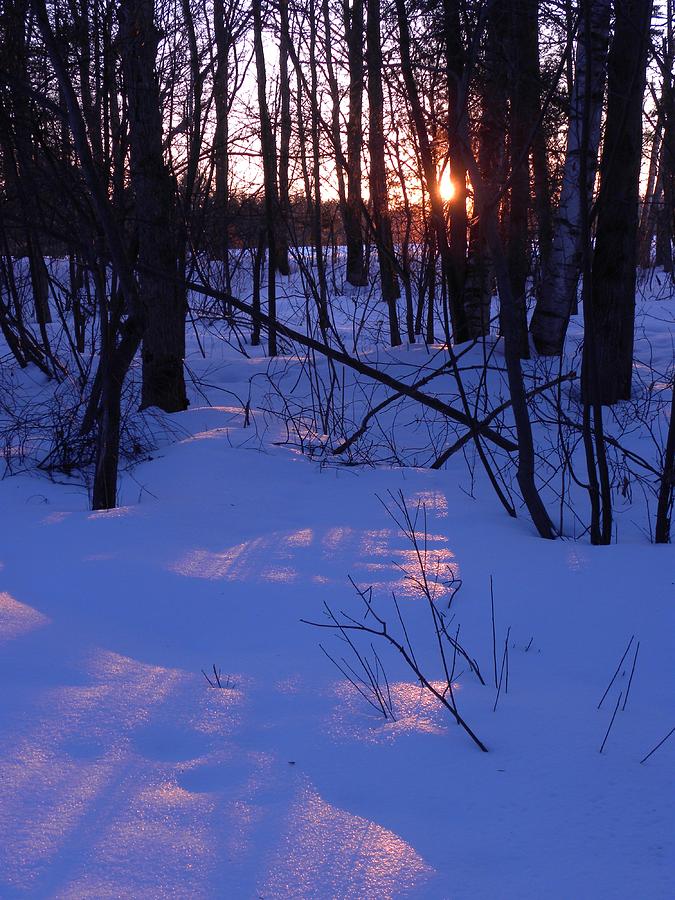 Canada Photograph - Winter Sunset by Peggy McDonald Canada Photograph - Winter Sunset by Peggy McDonald