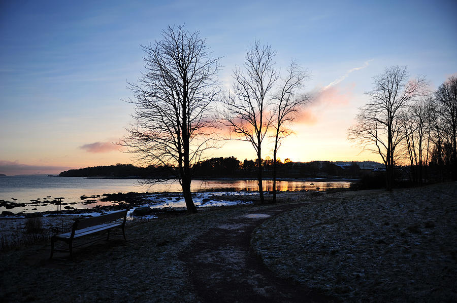 Winter Sunset Photograph by Randi Grace Nilsberg
