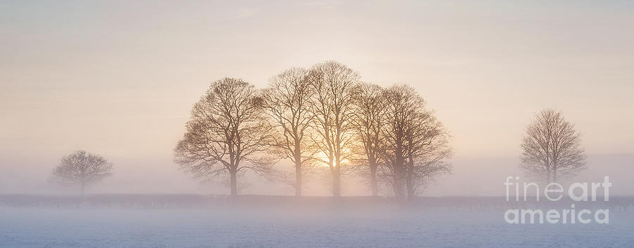 Winter Sunset Photograph by Richard Burdon