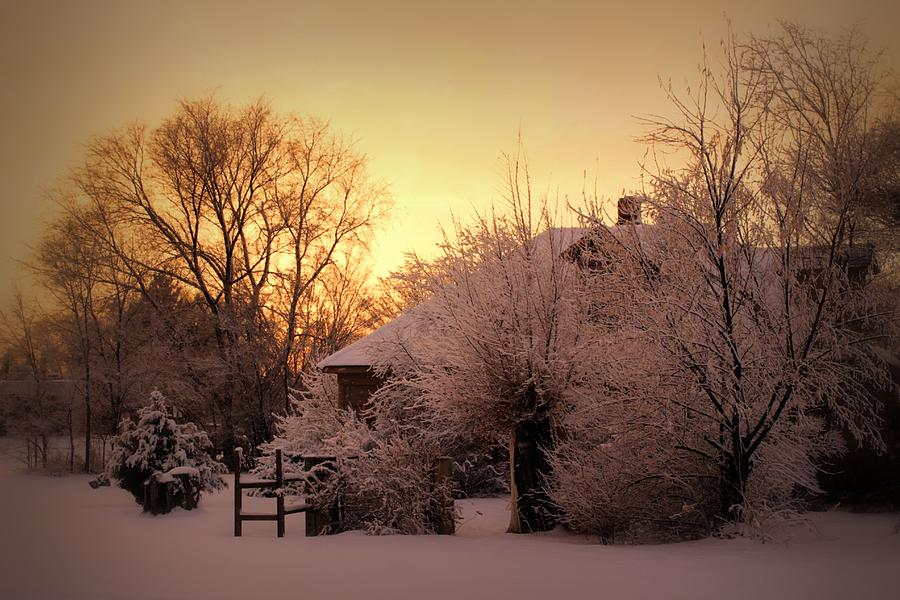 Winter Sunset Photograph by Scott Carlton