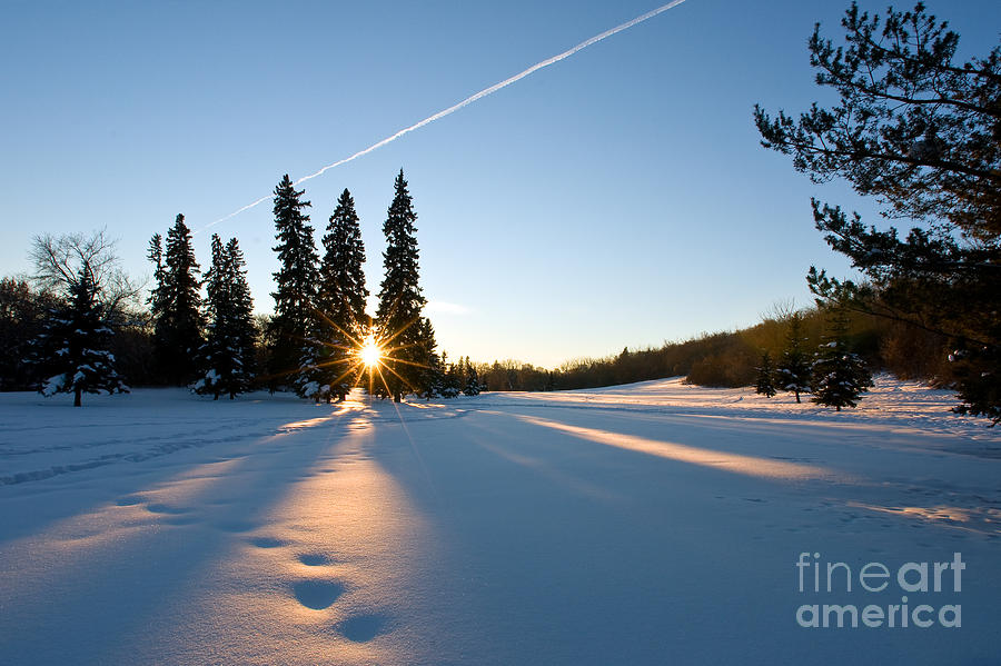 Winter Season Photograph - Winter Sunset by Terry Elniski