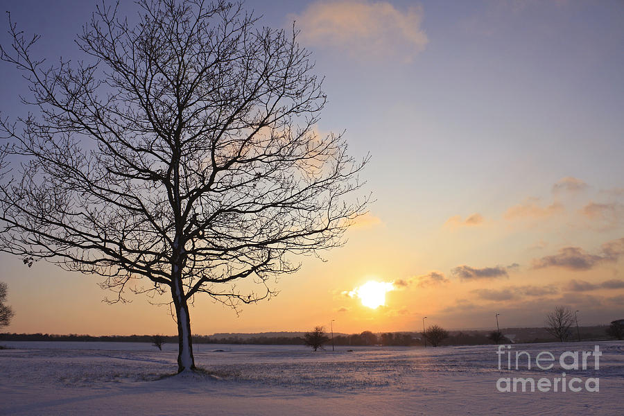 Winter Sunset UK Photograph by Julia Gavin