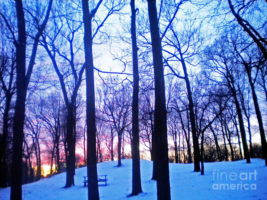 Sunset Photograph - Winter Sunset by Violeta Ianeva