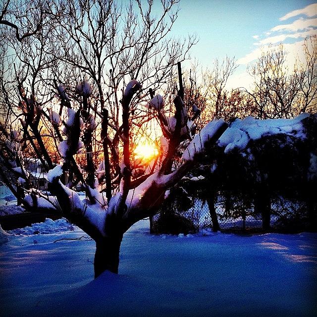 Winter Photograph - Winter Sunset #winter #longisland by Lisa Thomas