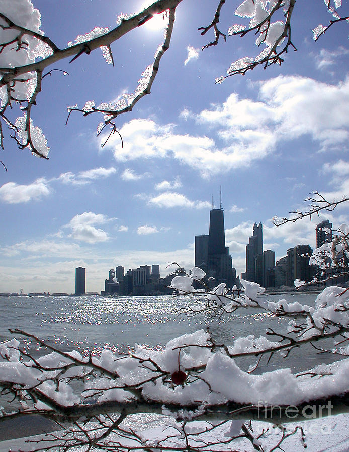 Winter Sunshine Photograph by Martin Konopacki