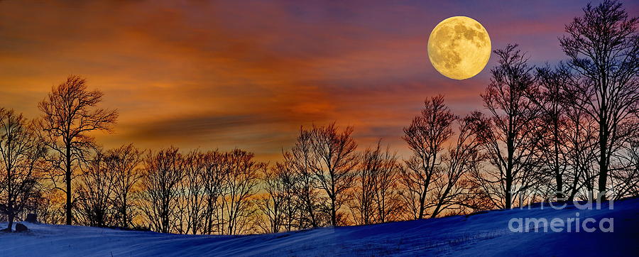 Winter Super Full Moon Photograph by Andrea Kollo