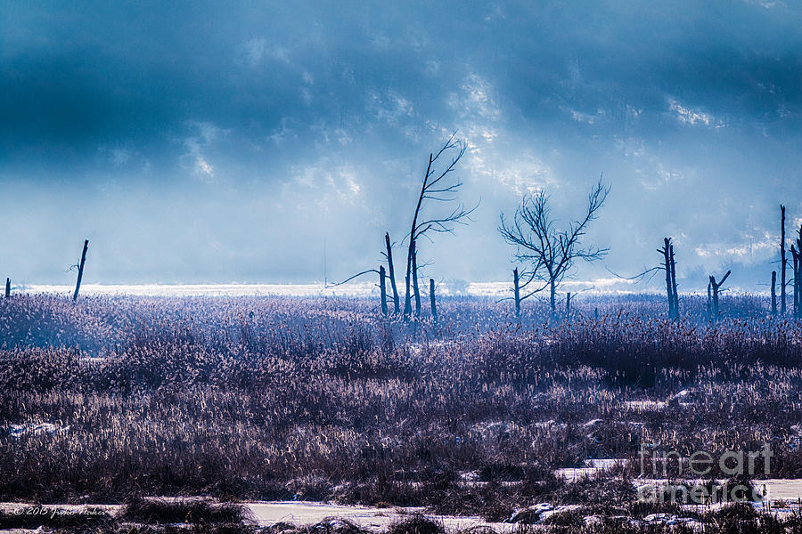 Winter Swamp Marsh Anticipating the Storm Photograph by Jivko Nakev