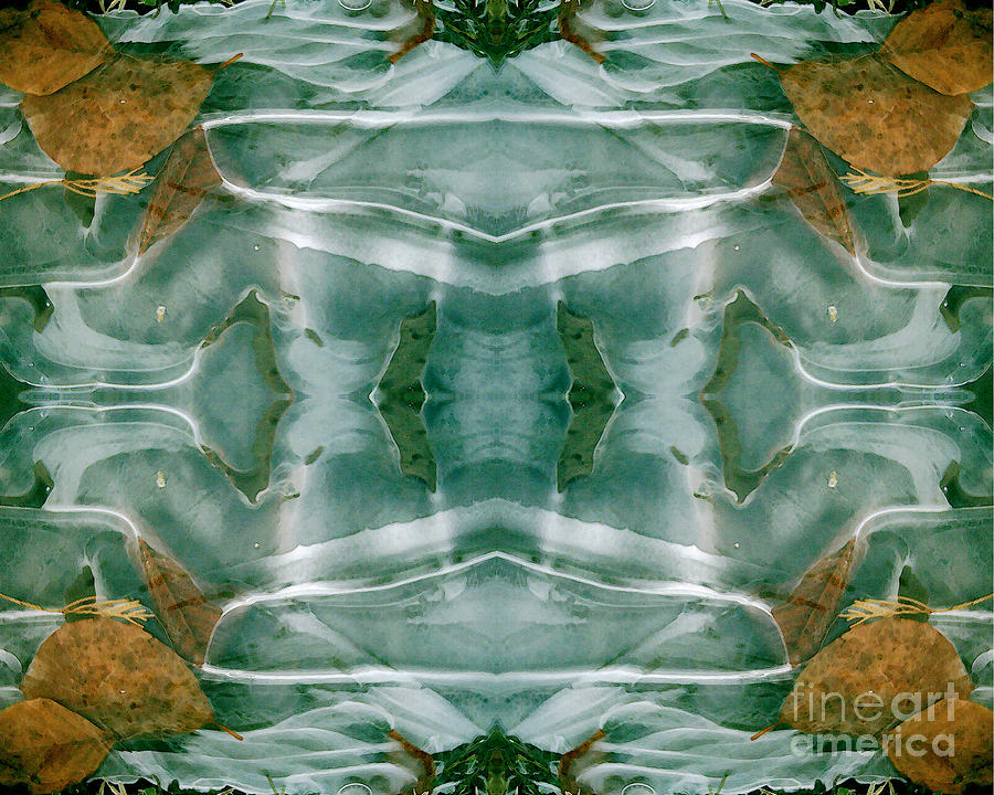 Winter Symmetry by David Hargreaves Winter Symmetry by David Hargreaves