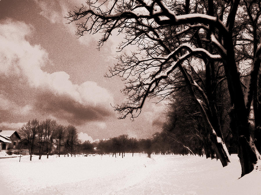 Winter Tale Photograph by Nina Ficur Feenan