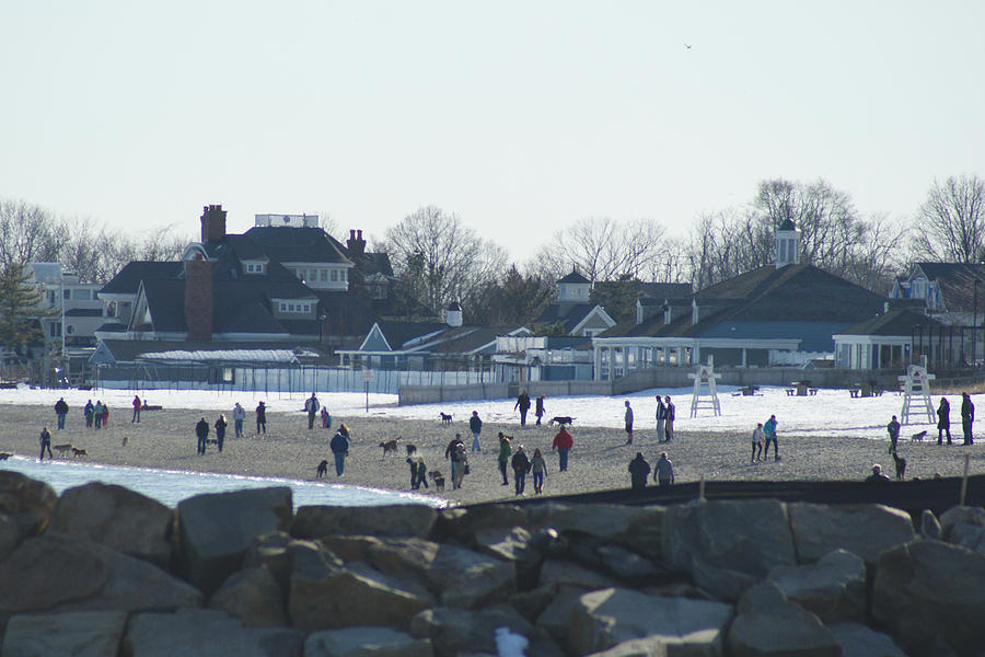 Winter Thaw at the Beach Photograph by Margie Avellino