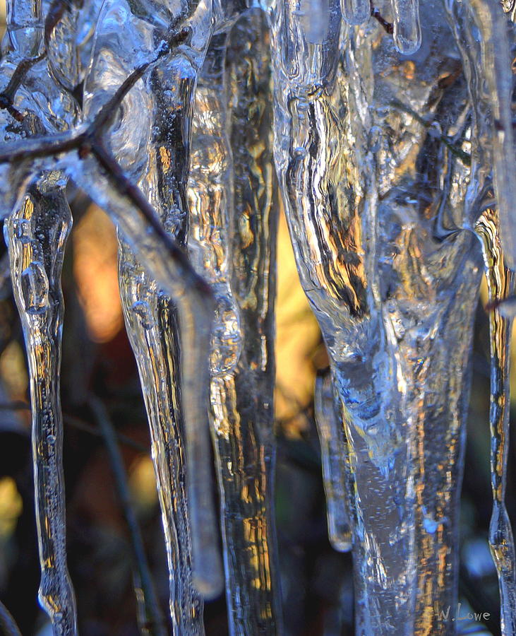 Winter Thaw Photograph by Wendell Lowe