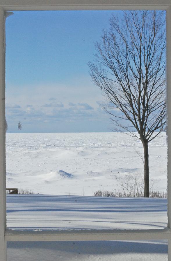 Winter Photograph - Winter Through The Screen Door by Victoria Feazell