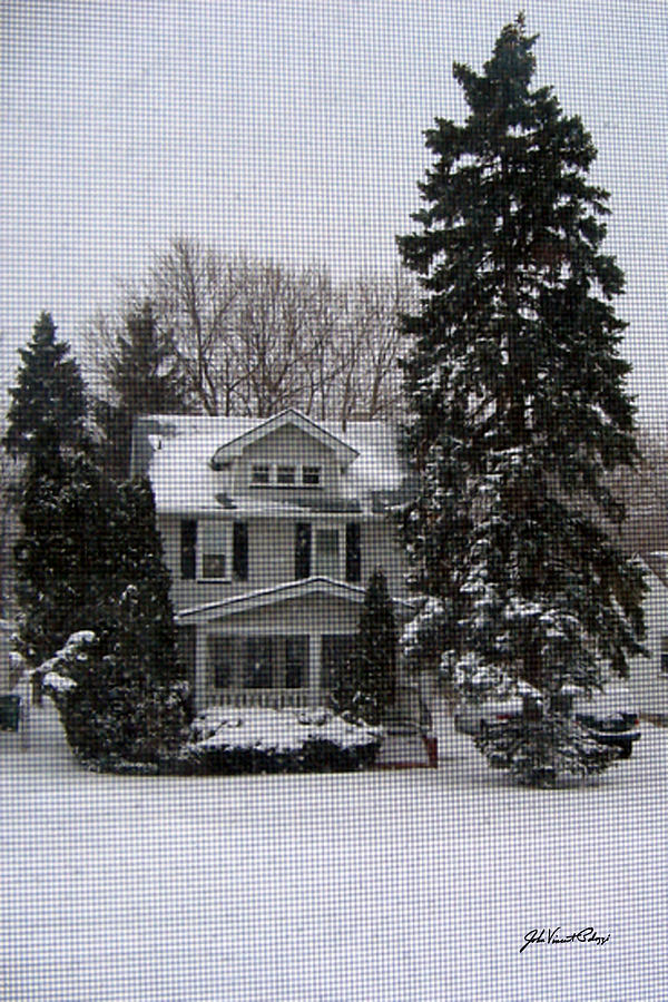 Winter Through the Screen Window Photograph by John Vincent Palozzi