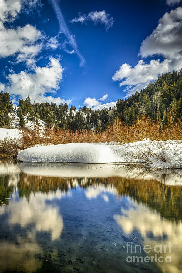 Nature Photograph - Winter Time Beaver Pond HDR by Mitch Johanson