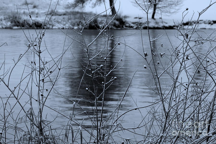 Winter Touch Photograph by Carol Groenen