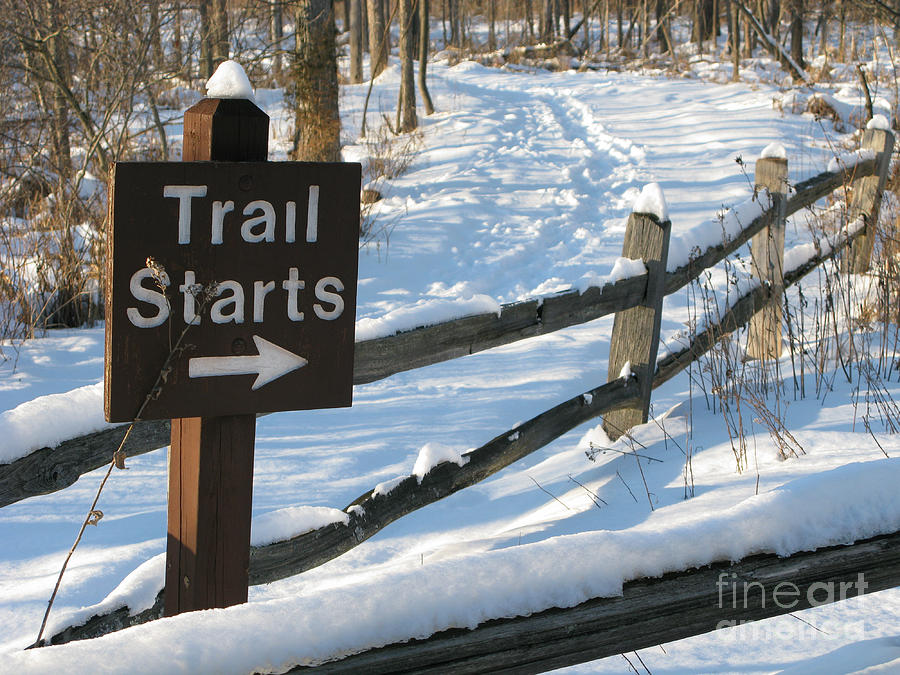 Winter Trail Photograph by Ann Horn