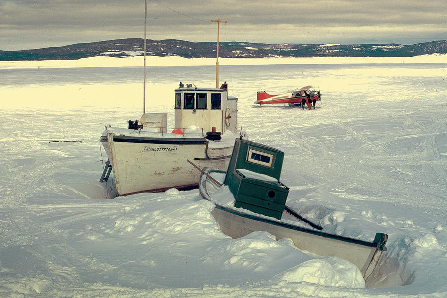 Winter travel Labrador Photograph by Douglas Pike