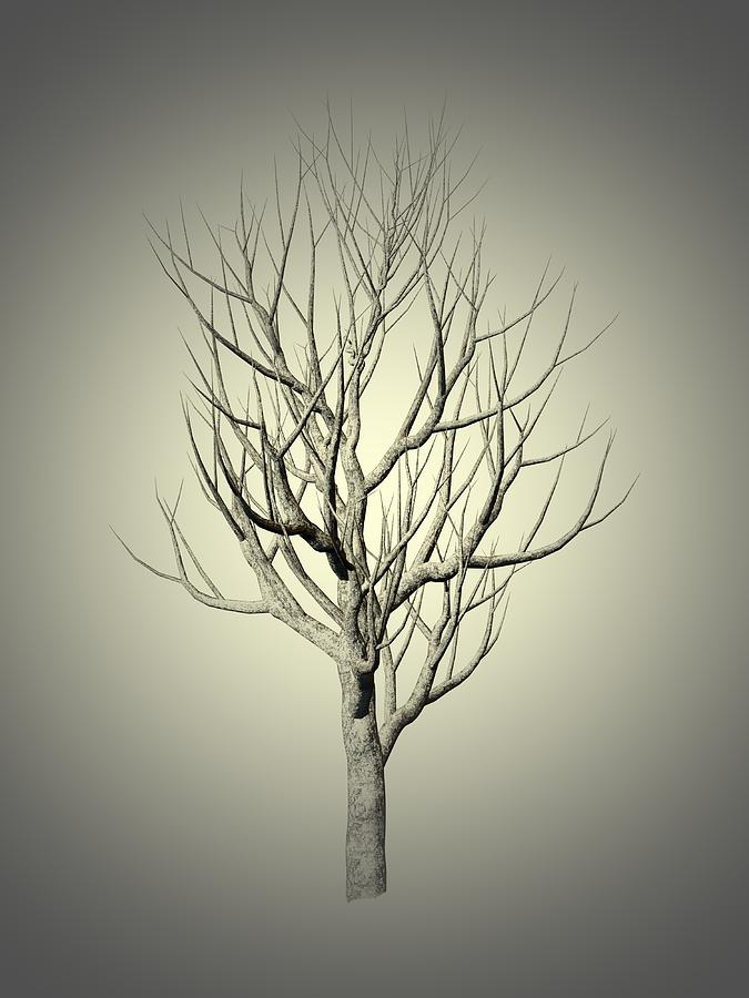 Winter Painting - Winter Tree 3 by Movie Poster Prints