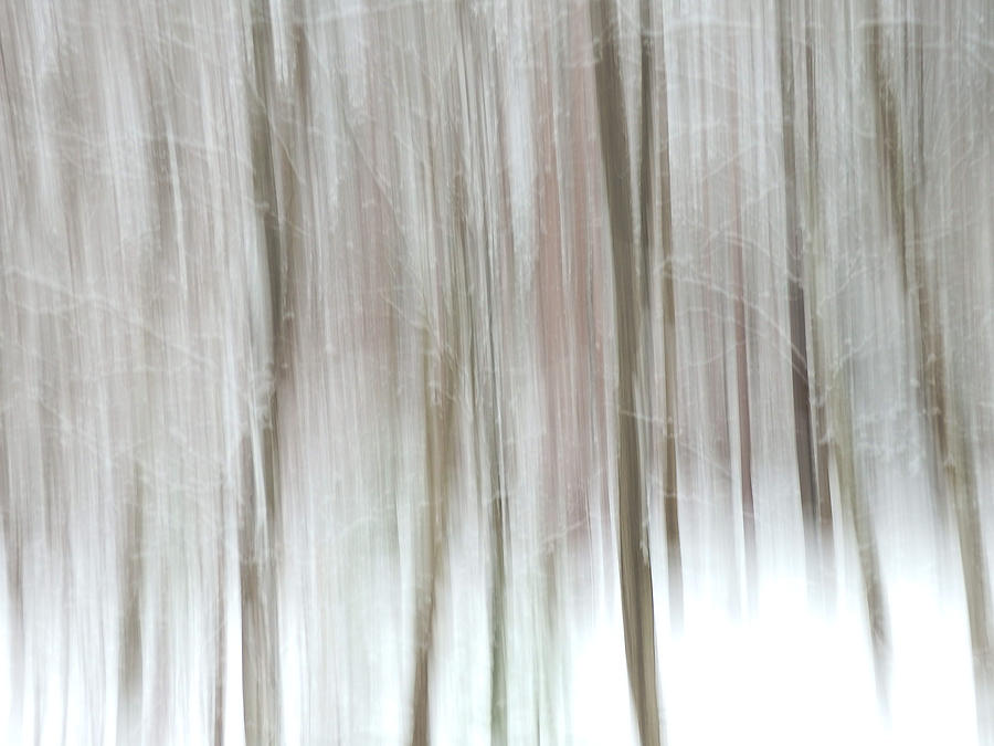 Winter Tree Abstract Photograph by Nancy De Flon