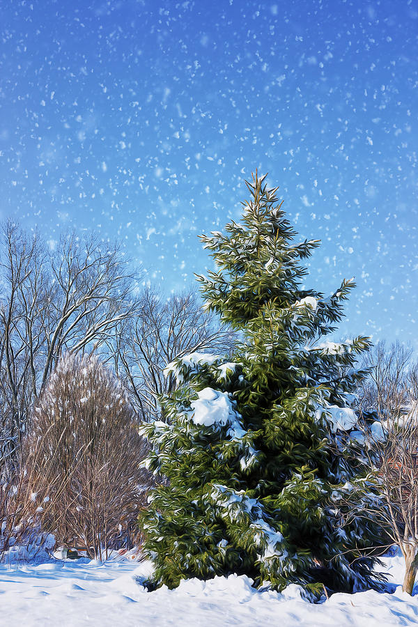 Winter Tree Photograph by Bill and Linda Tiepelman