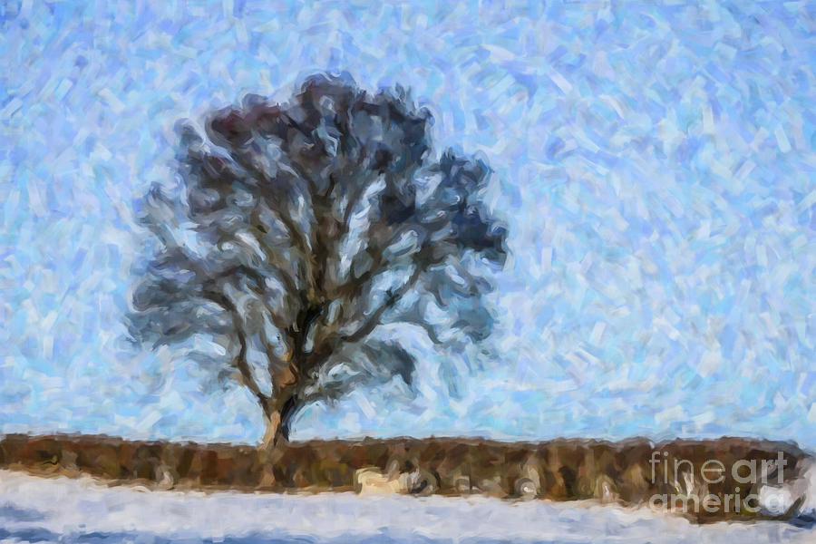 Winter tree Digital Art by Liz Leyden