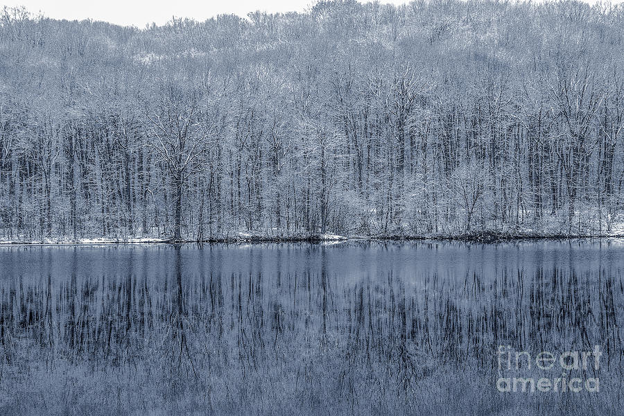 Winter Trees and Lake in Blue Digital Art by Randy Steele
