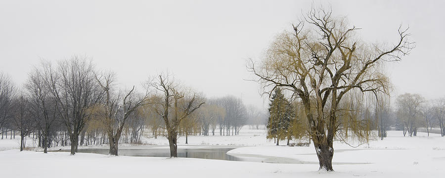 Tree Photograph - Winter trees and pond by James Blackwell JR