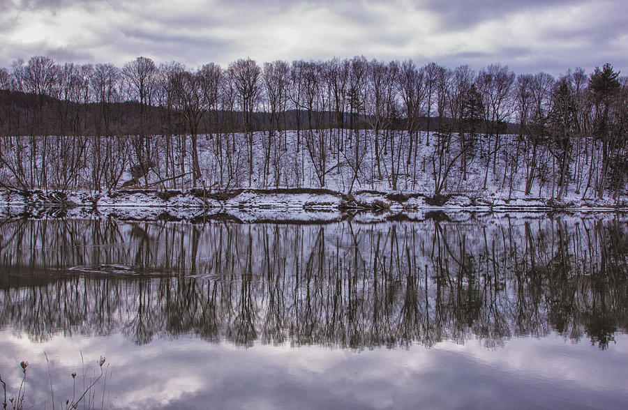 Winter Trees and The River Photograph by Tom Singleton