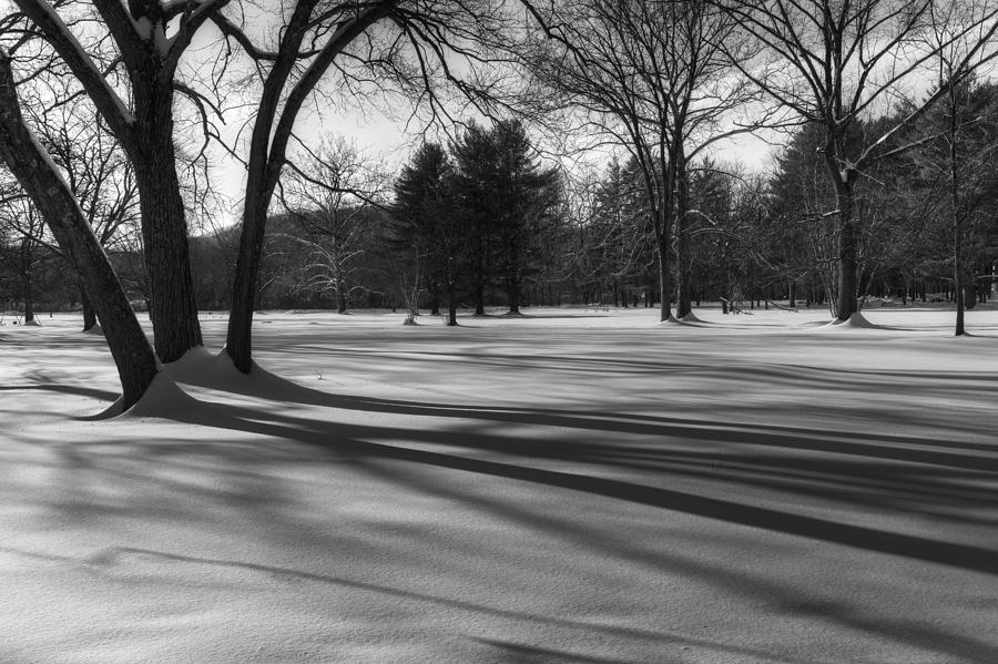 Black And White Photograph - Winter Trees by Bill Wakeley