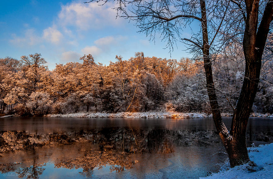Winter Trees Lake Reflected Photograph