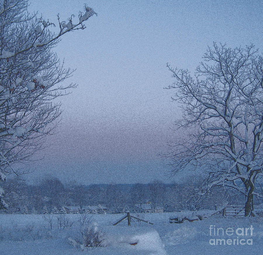 Winter Trees on West Michigan Farm at Sunrise Photograph by Conni Schaftenaar