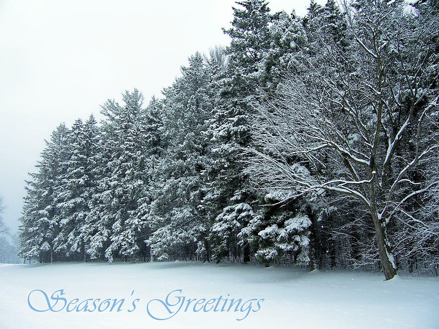 Winter Upon Us - Seasons Greetings Photograph by Susan McMenamin
